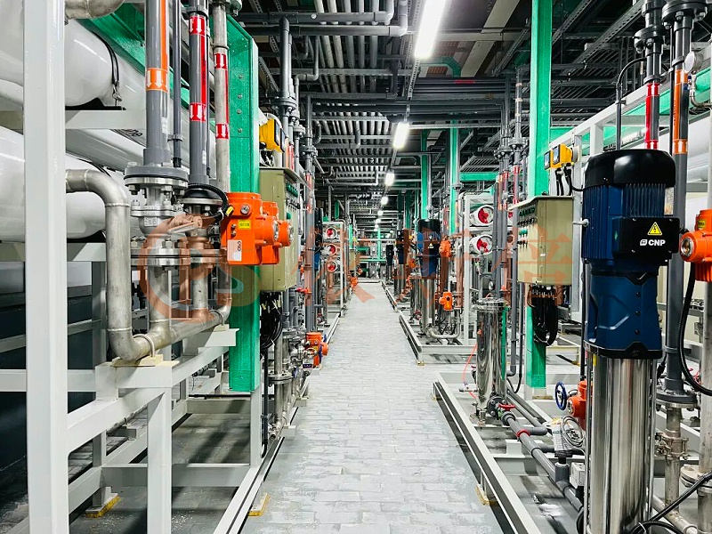 依斯倍受邀參加2025外企高管交流會(huì)4