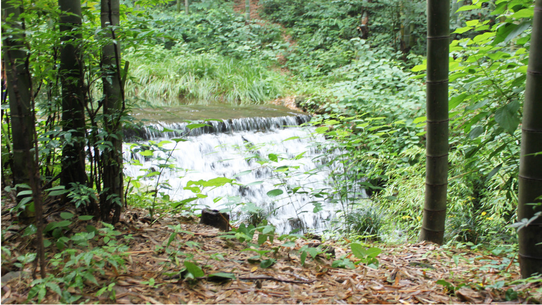 三月環保相關節日科普